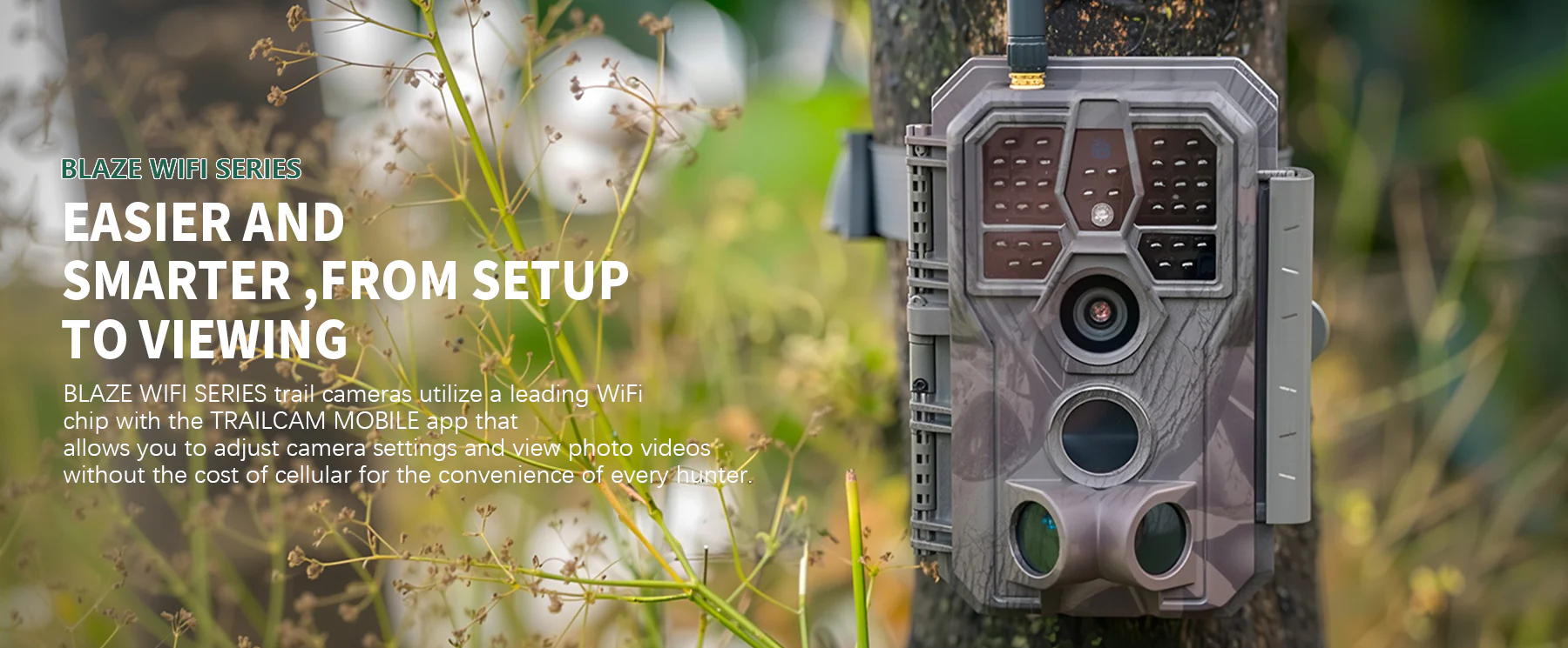 Capture Every Wild Moment