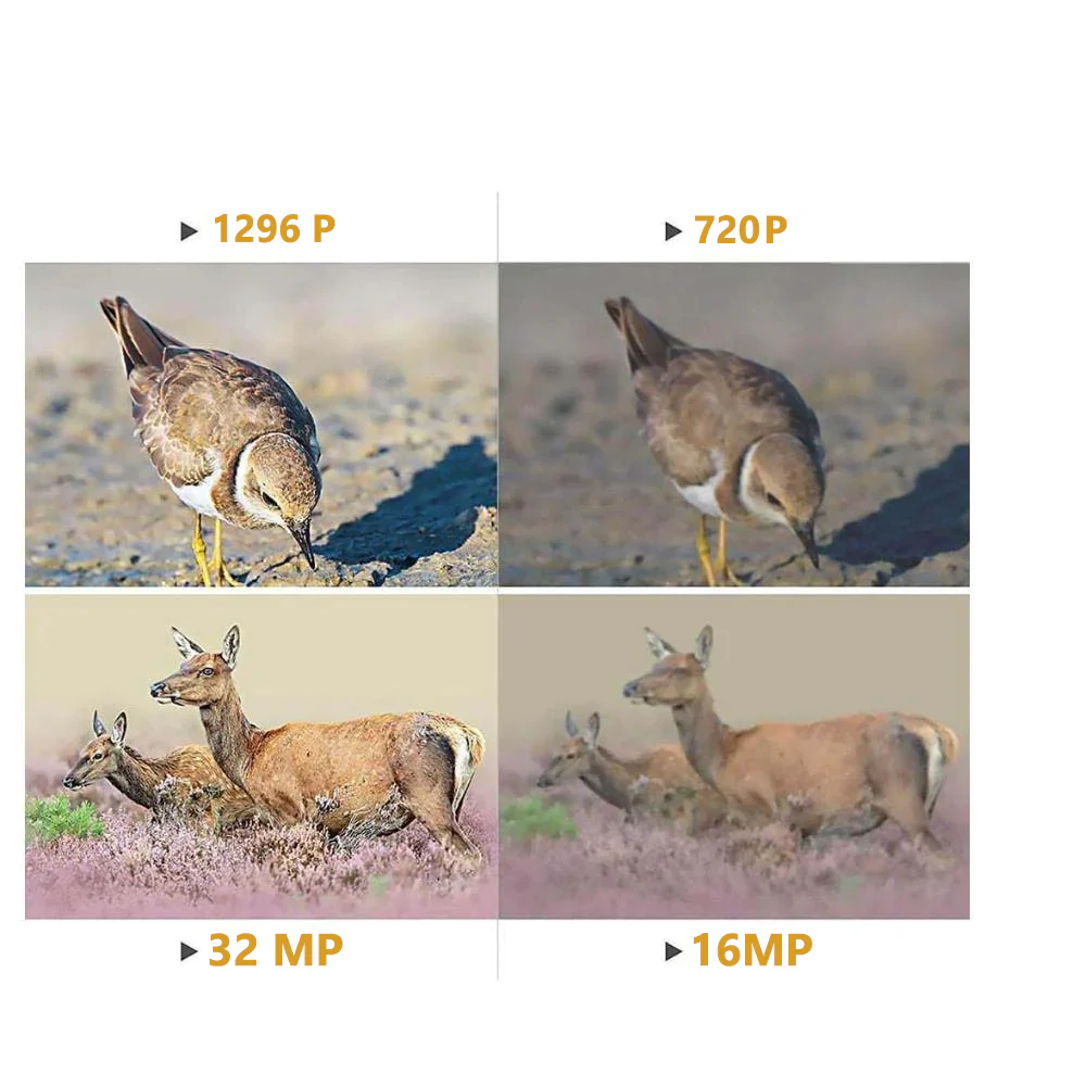 10-Pack Camouflage Game Trail Deer Cameras 64MP 1296P Video Black Flash Night Vision Time Lapse Motion Activated Waterproof Password Protected | A252 Green - Image 16