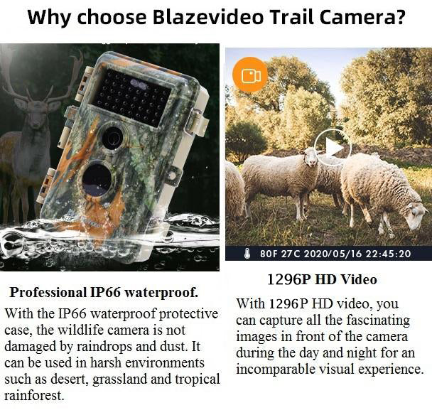 10-Pack Camouflage Game Trail Deer Cameras 64MP 1296P Video Black Flash Night Vision Time Lapse Motion Activated Waterproof Password Protected | A252 Green - Image 7