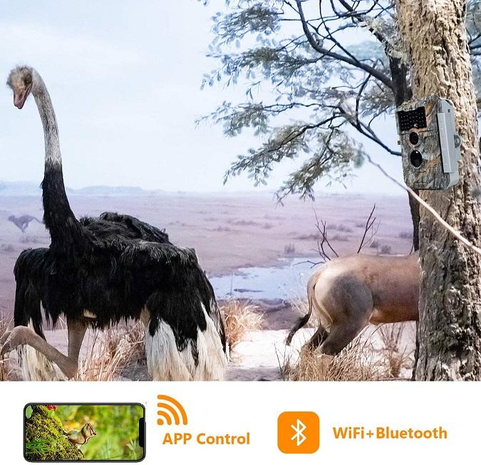 2-Pack Wireless Bluetooth WiFi Game Trail Deer Camera 64MP 1296P Video Night Vision No Glow Motion Activated Waterproof Photo & Video Model | W600 - Image 3