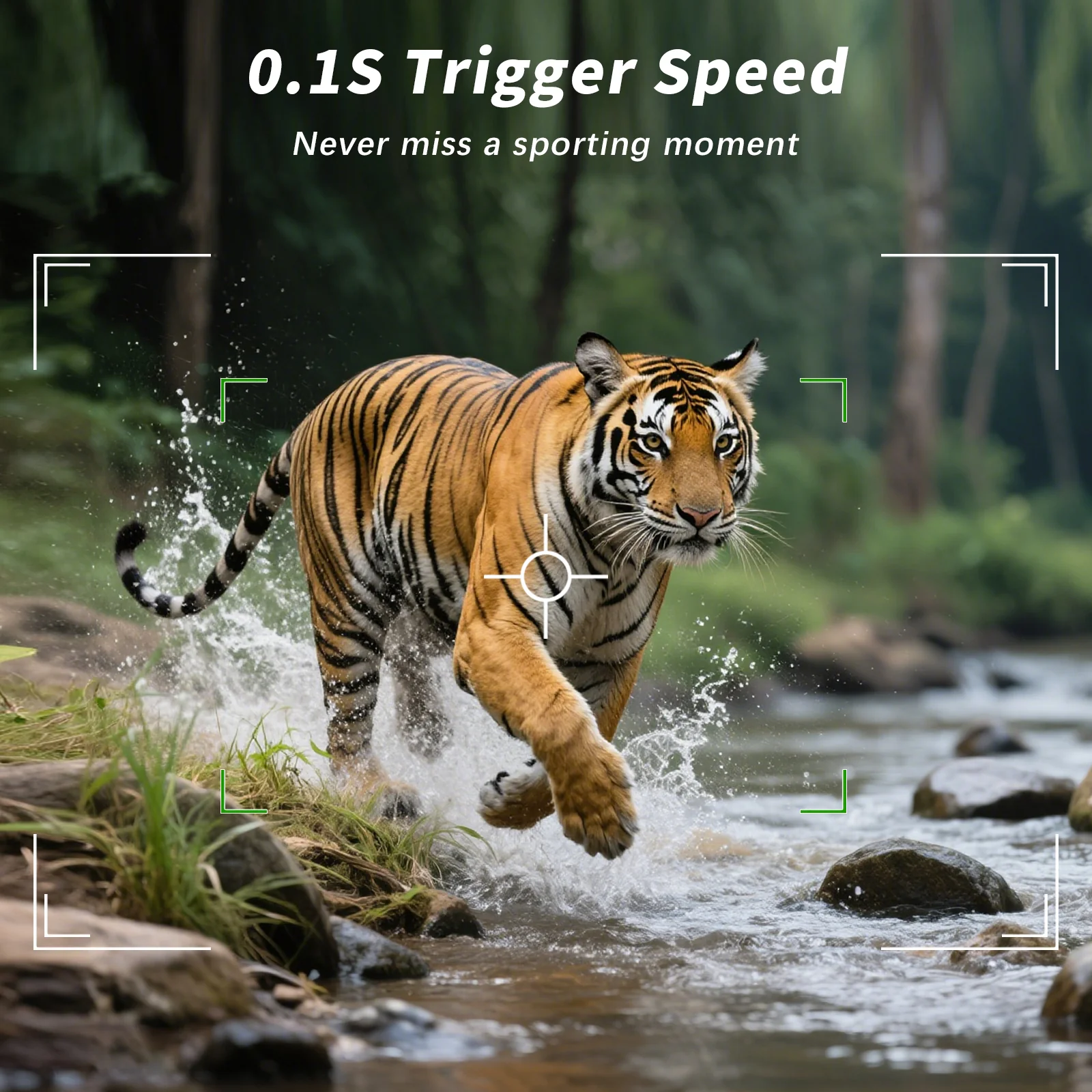 A106W 4K WIFI 64MP Trail Camera 100ft Night Vision Motion Activated 0.1S Trigger Speed No Glow Waterproof for Wildlife Observing & Backyard Security - Image 6