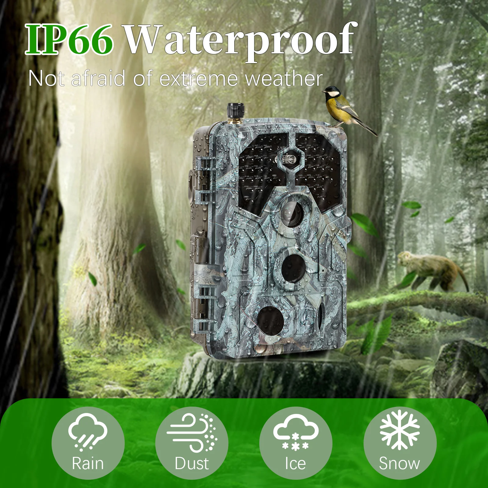 A106W 4K WIFI 64MP Trail Camera 100ft Night Vision Motion Activated 0.1S Trigger Speed No Glow Waterproof for Wildlife Observing & Backyard Security - Image 7