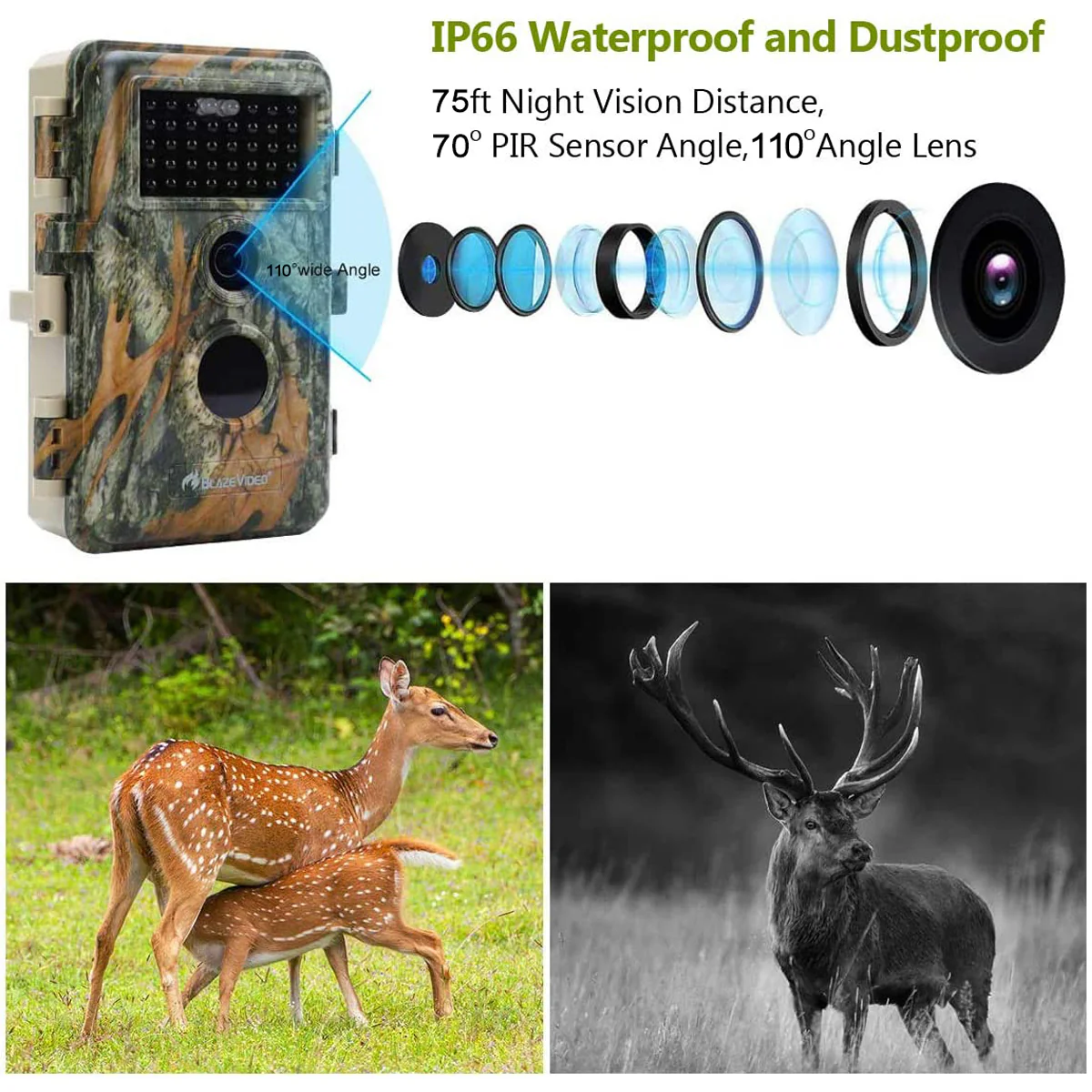 2-Pack Game Trail Wildlife Animal Cams Observing Deer Cameras 64MP Photo 1296P Video Night Vision No Glow Infrared Motion Activated Waterproof | A252 Green - Image 4