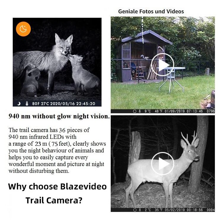 2-Pack Game Trail Deer Cameras for Observing & Home Security 64MP 1296P Video Night Vision Motion Activated Waterproof Invisible Infrared Time Lapse | A252 - Image 5
