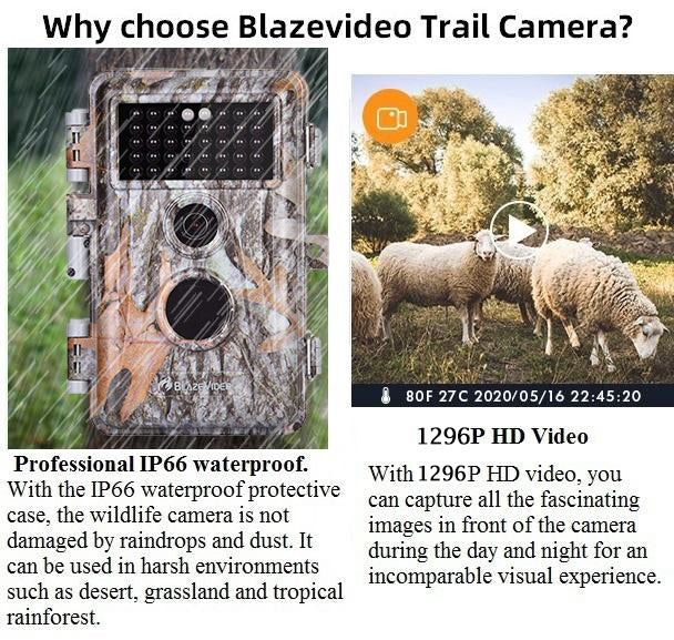 2-Pack Game Trail Deer Cameras for Observing & Home Security 64MP 1296P Video Night Vision Motion Activated Waterproof Invisible Infrared Time Lapse | A252 - Image 7