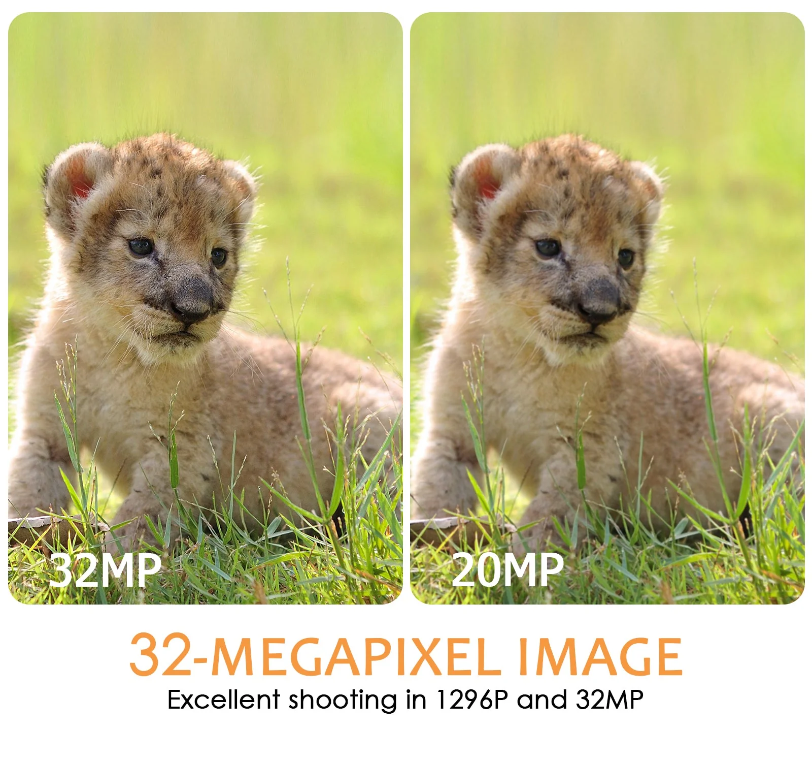 2-Pack Bluetooth WIFI Trail Cameras 64MP 1296P for Wildlife Observing & Home or Backyard Security Night Vision Motion Activated Waterproof | A280W - Image 4