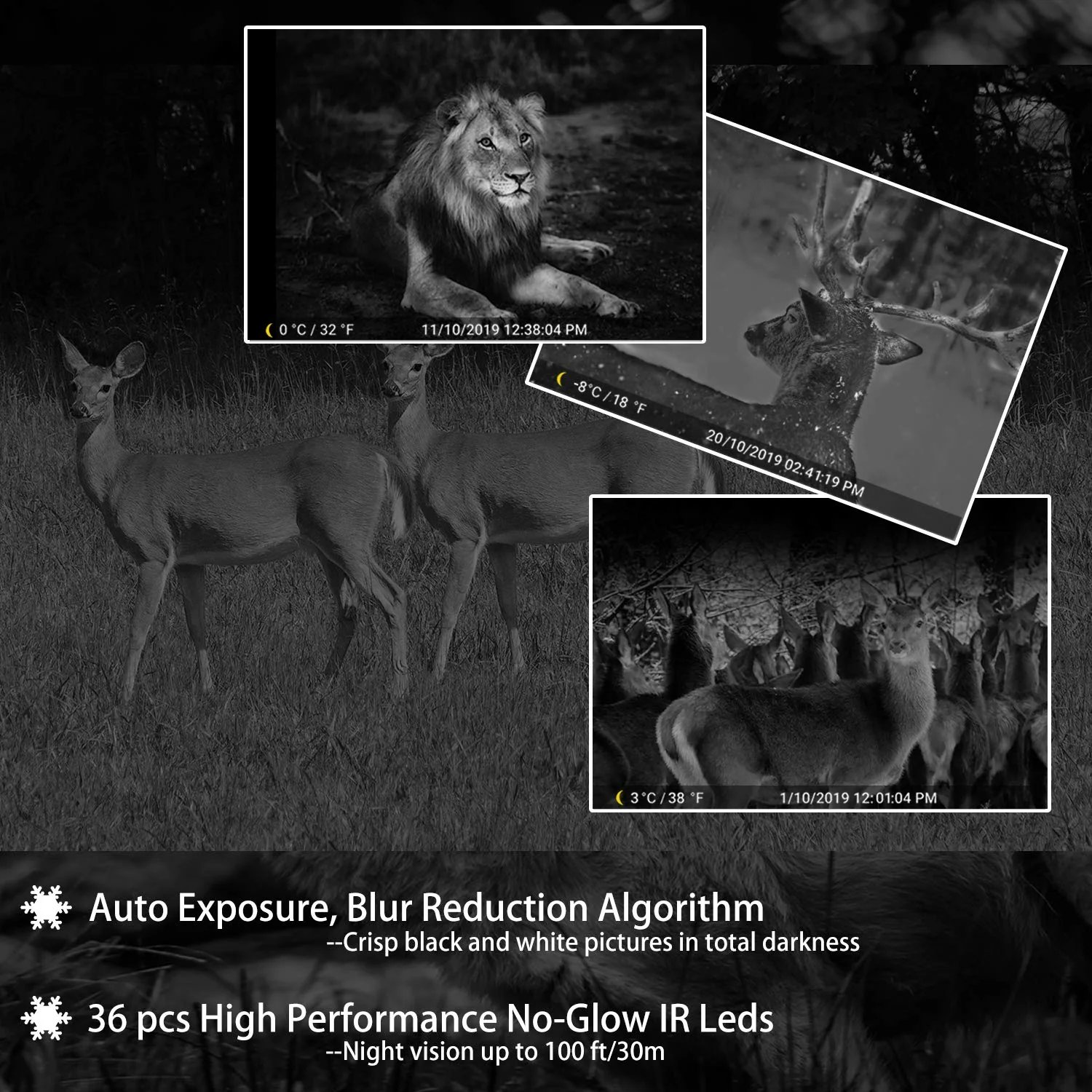 2-Pack Game Trail Deer Cameras Wildlife Cams 64MP 1296P MP4 Video 100ft Night Vision Motion Activated 0.1S Trigger Speed Waterproof No Glow A323 - Image 5