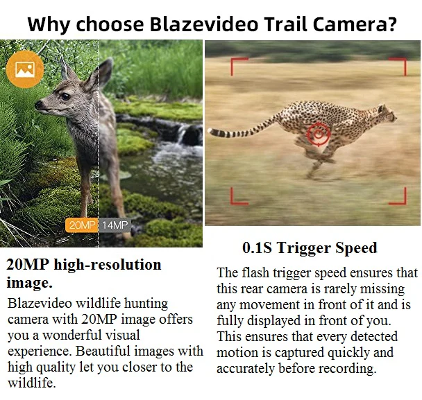 2-Pack Game Trail Deer Cameras Wildlife Cams 64MP 1296P MP4 Video 100ft Night Vision Motion Activated 0.1S Trigger Speed Waterproof No Glow A323 - Image 9