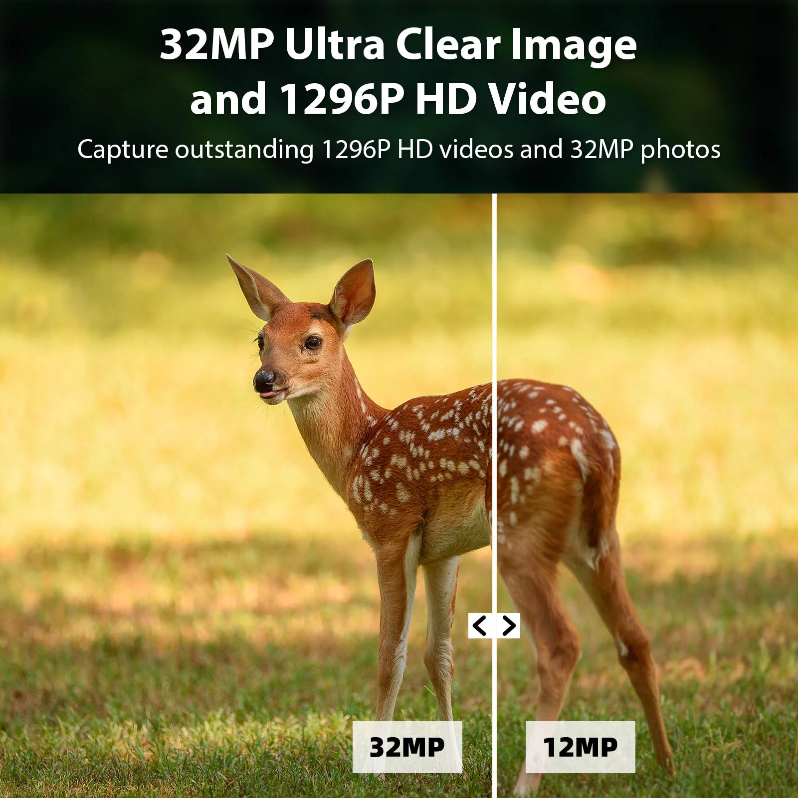 2-Pack Game & Trail Camera 1296P Video & 32MP Photo with 100ft Night Vision Motion Activated 0.1s Trigger Speed Waterproof for Home Security, Outdoor Wildlife Scouting | T306 Grey - Image 3