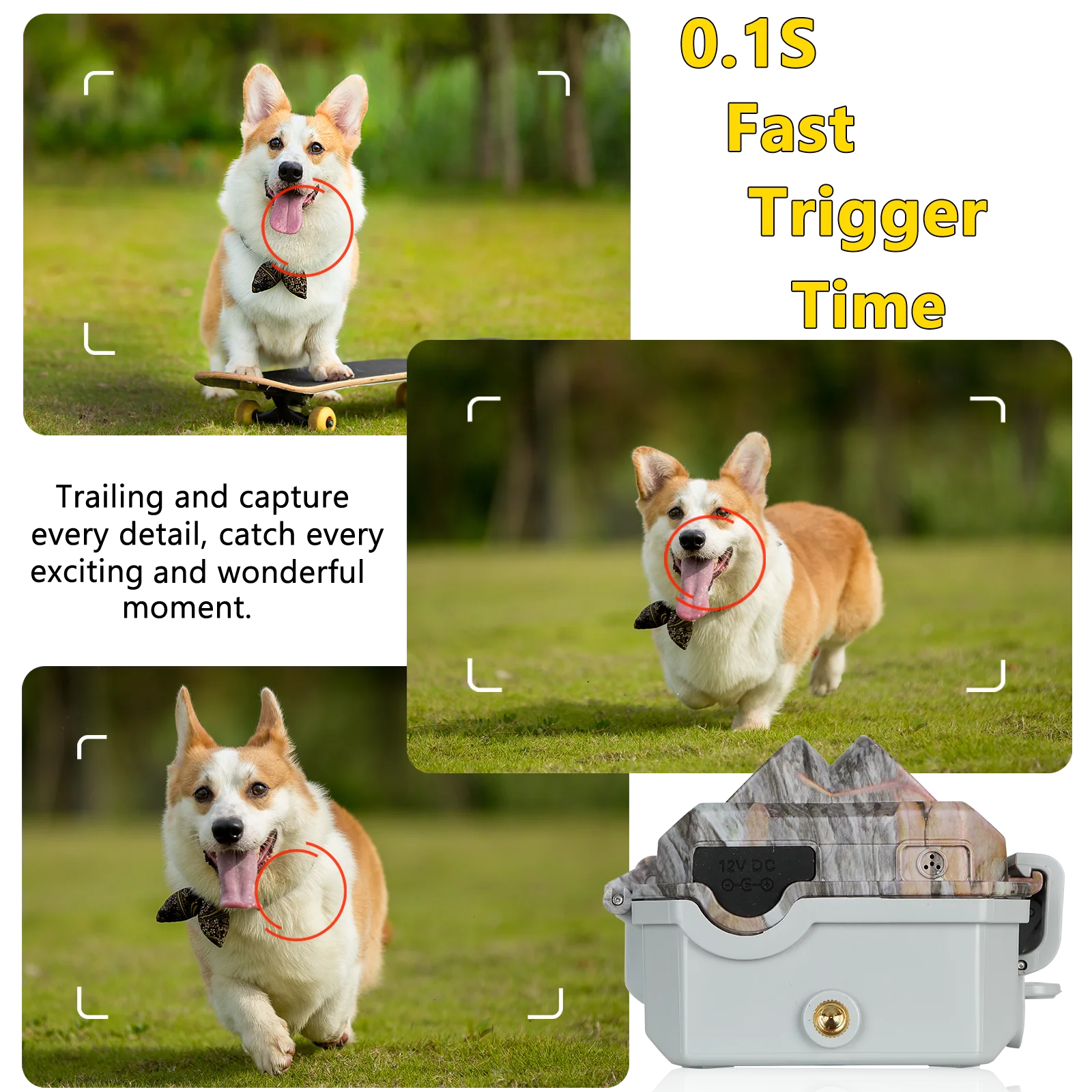5-Pack A280 Trail Game Deer Cameras 64MP Photo 2304x1296P Full HD Video 100ft Night Vision No Glow 0.1S Trigger Motion Activated Waterproof - Image 6