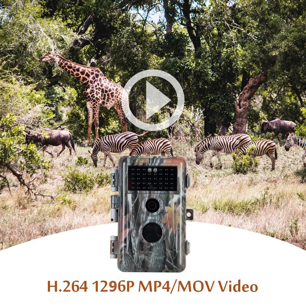 6-Pack Trail Wildlife & Backyard Field Tree Cameras 64MP 1296P No Glow Motion Activated Waterproof Night Vision Photo & Video Model Time Lapse - Image 5