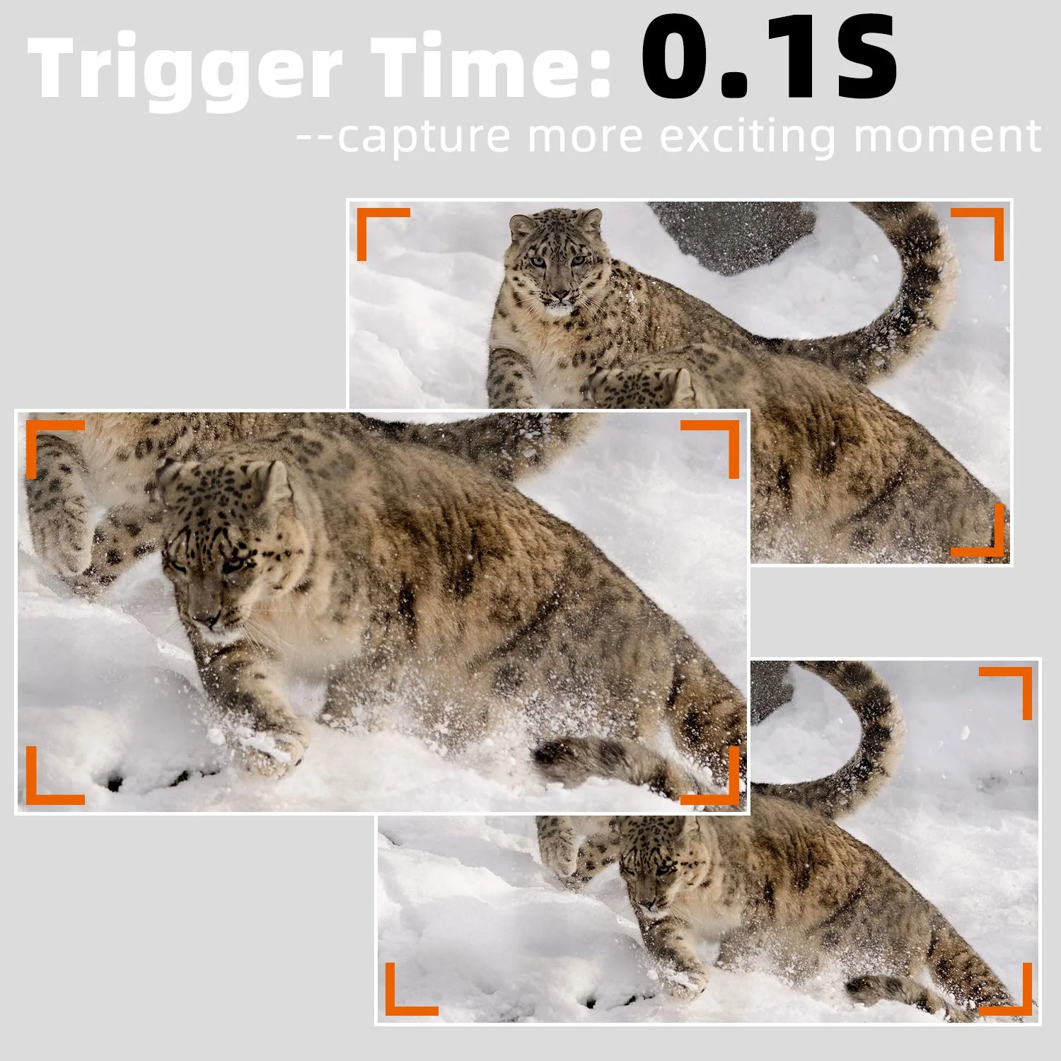 6-Pack Game Trail Deer Cameras for Observation 64MP 1296P Video with 100ft Night Vision Motion Activated 0.1S Trigger Speed Waterproof No Glow | A323 - Image 6