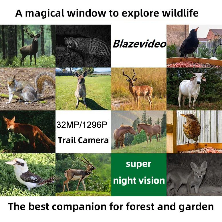 8-Pack No Glow Game & Trail Observing Deer Wildlife Cameras 64MP 1296P Video Night Vision Motion Activated IP66 Waterproof No Glow | A252 - Image 7