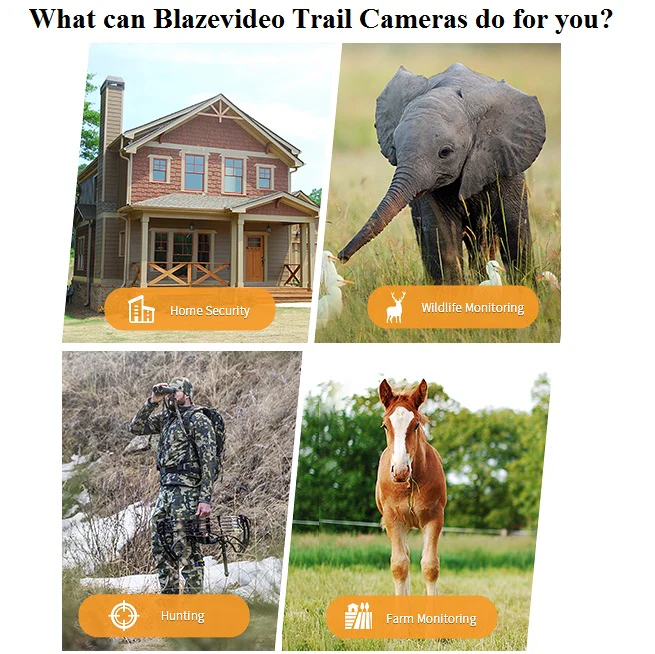 Trail Deer Camera 100ft Night Vision 64MP 1296P Motion Activated 0.1S Trigger Speed No Glow Waterproof for Wildlife Observing & Backyard Security A323 - Image 9