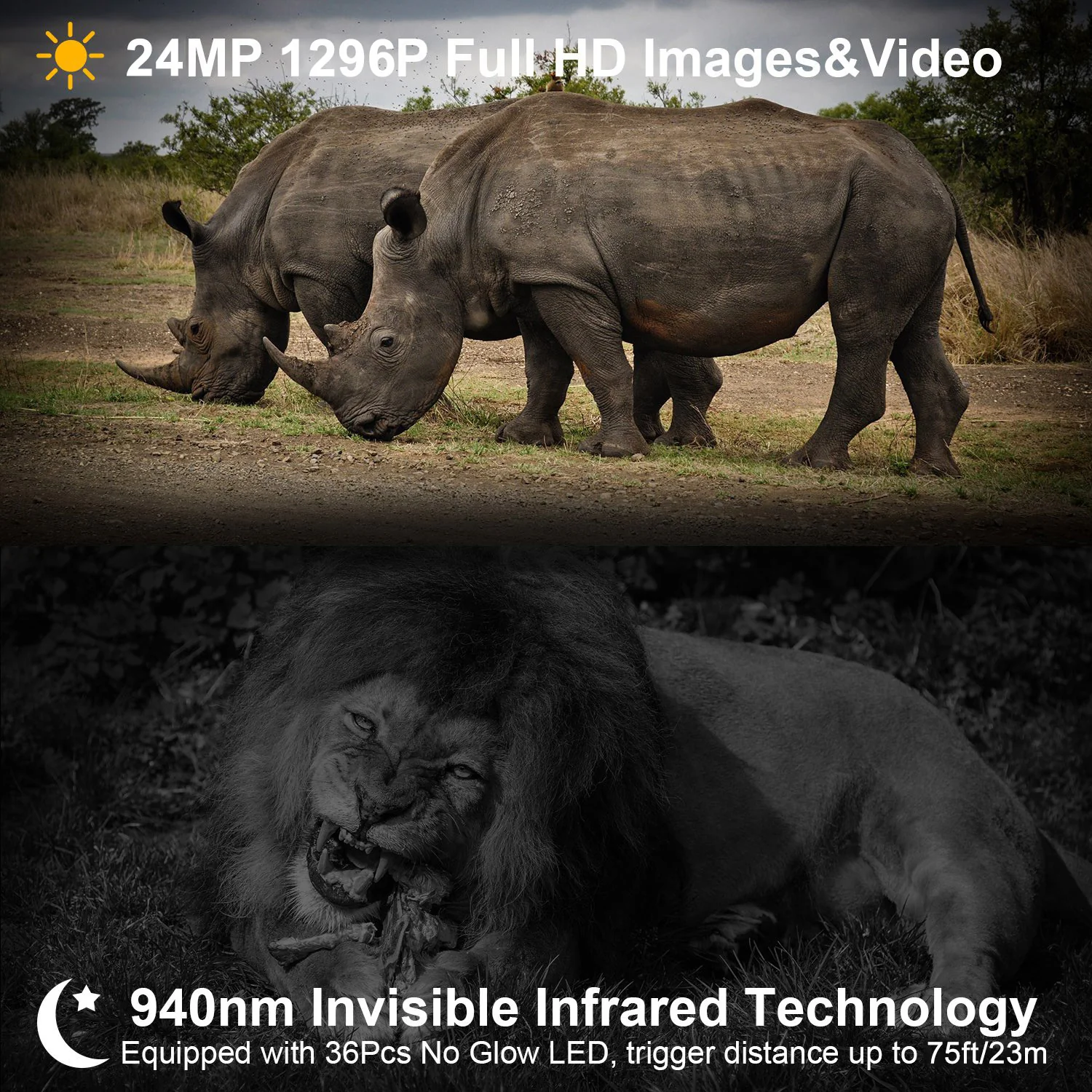 Game & Deer Observing Trail Camera 64MP Photo 1296P Video No Glow Night Vision Motion Activated IP66 Waterproof Photo & Video Model | A252 - Image 4