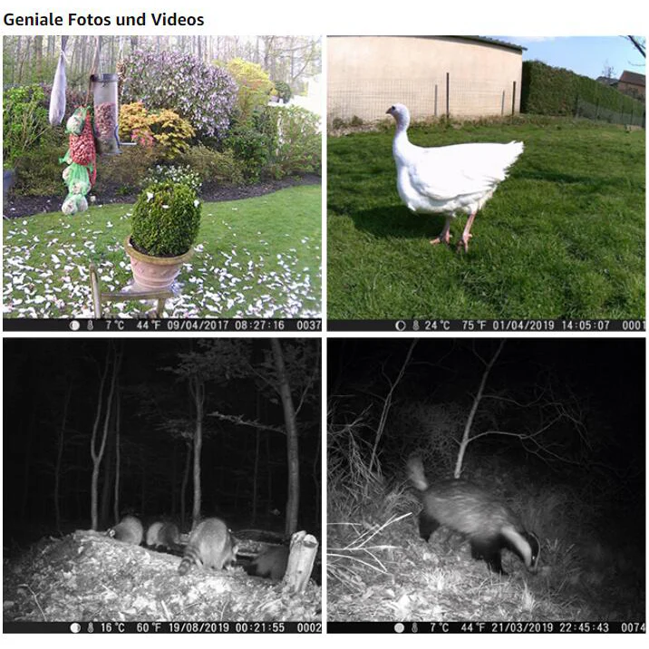 Game & Deer Observing Trail Camera 64MP Photo 1296P Video No Glow Night Vision Motion Activated IP66 Waterproof Photo & Video Model | A252 - Image 7
