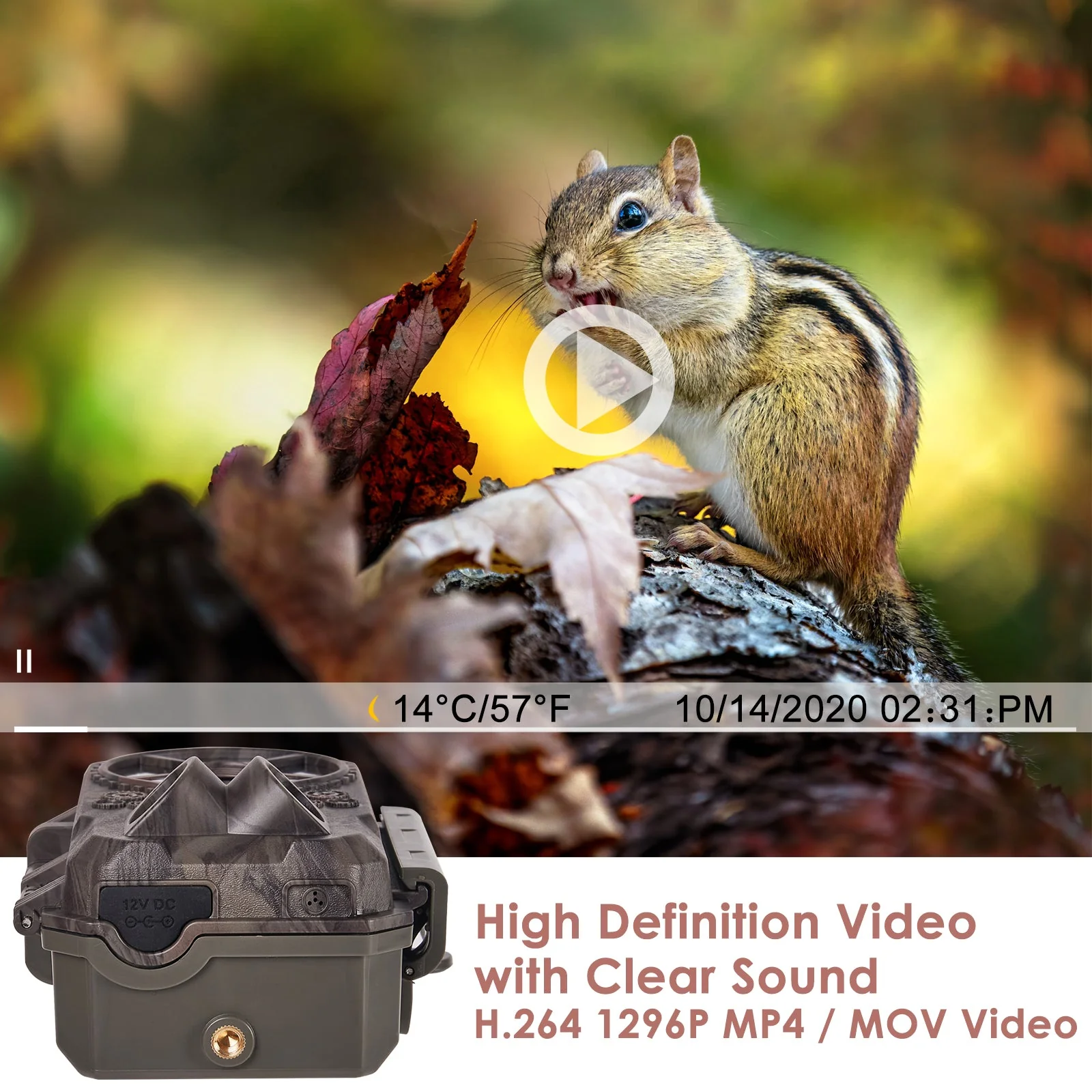 Bundle of Solar Panel and Bluetooth WIFI Game Camera 64MP 1296P Black Flash Wildlife Cam Night Vision Motion Activated Waterproof | A350W Red - Image 5