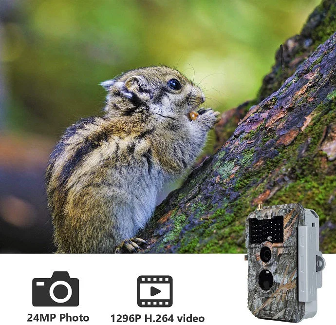 Bundle of Solar Panel and Bluetooth WiFi Trail Camera 64MP 1296P Night Vision No Glow Motion Activated for Wildlife Observing, Home Security | W600 - Image 4