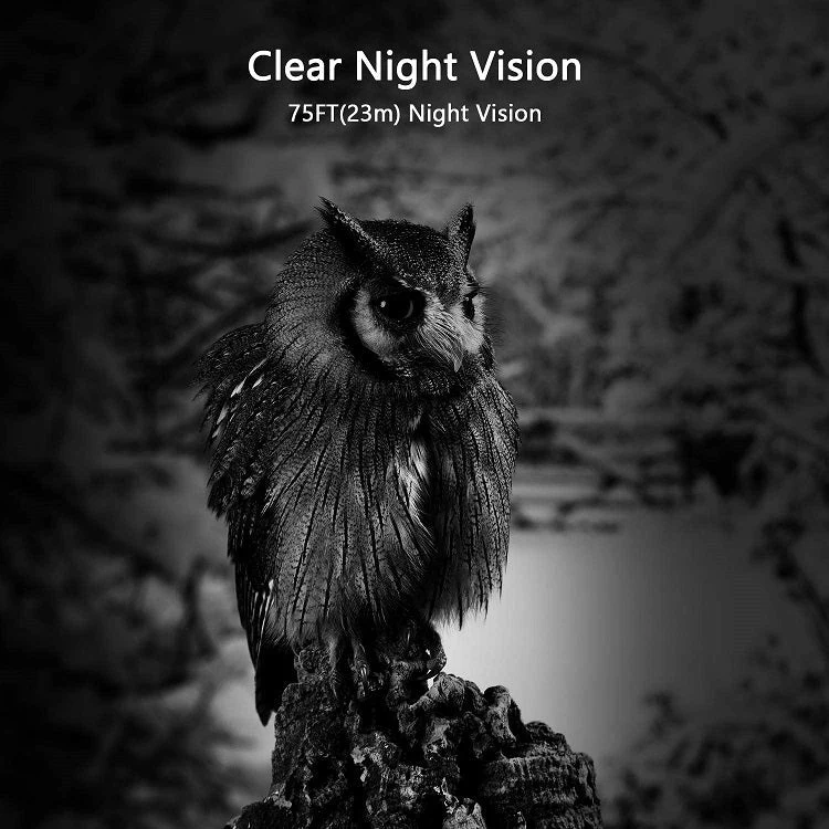 Bundle of Solar Panel and WiFi Game Camera 64MP 1296P Night Vision No Glow Motion Activated for Wildlife Observing, Home Security | W600 Brown - Image 4